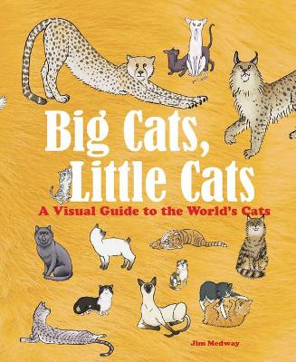 Book cover for Big Cats, Little Cats
