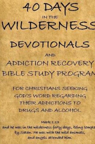 Cover of 40 Days in the Wilderness Addiction Recovery Devotionals and Bible Studies