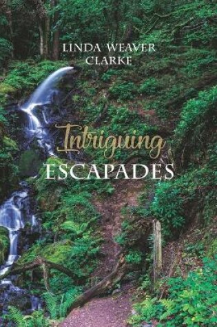 Cover of Intriguing Escapades
