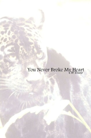 Cover of You Never Broke My Heart