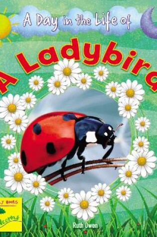 Cover of A Ladybird