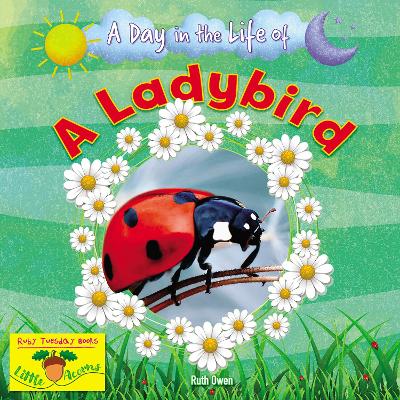 Book cover for A Ladybird