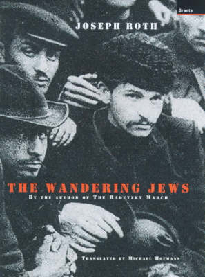 Book cover for Wandering Jews, the