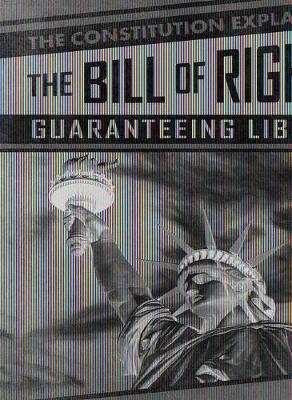 Book cover for The Bill of Rights: Guaranteeing Liberty