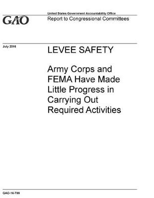 Book cover for Levee Safety