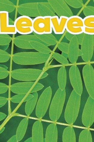 Cover of Leaves