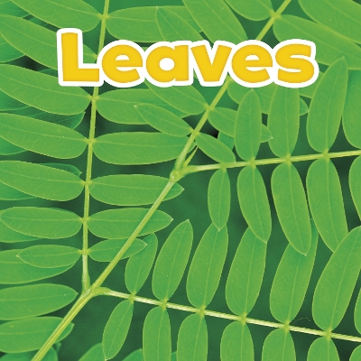 Cover of Leaves