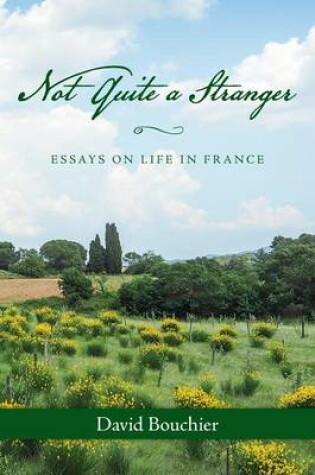 Cover of Not Quite a Stranger