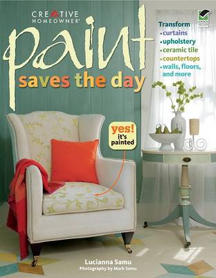 Book cover for Paint Saves the Day