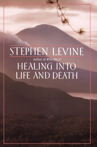 Cover of Healing into Life and Death