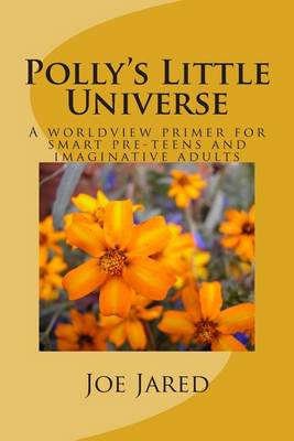 Book cover for Polly's Little Universe