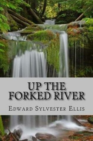 Cover of Up the Forked River
