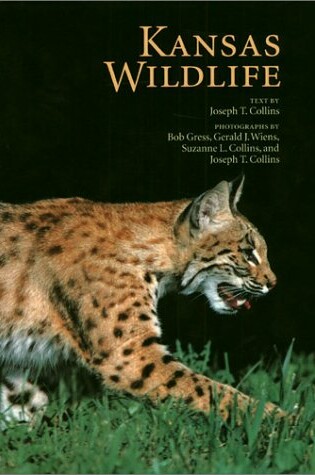 Cover of Kansas Wild Life