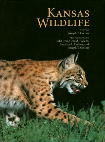 Book cover for Kansas Wild Life