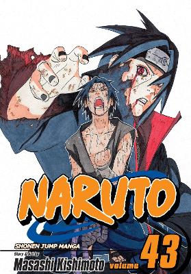 Cover of Naruto, Vol. 43