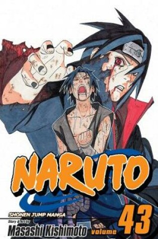 Cover of Naruto, Vol. 43