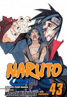 Book cover for Naruto, Vol. 43