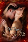 Book cover for Burn for Me