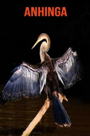 Cover of Anhinga