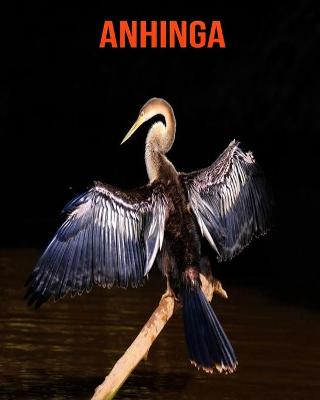 Book cover for Anhinga