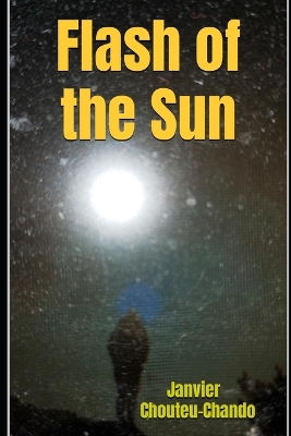 Book cover for Flash of the Sun