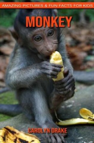 Cover of Monkey