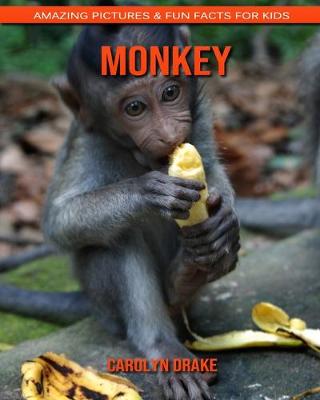 Book cover for Monkey
