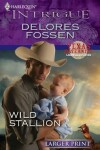 Book cover for Wild Stallion