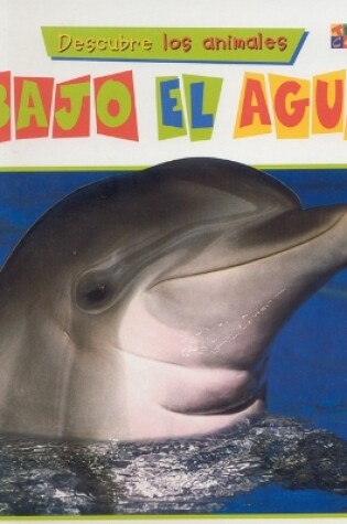 Cover of Bajo El Agua