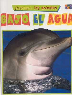 Book cover for Bajo El Agua