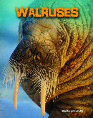 Book cover for Walruses