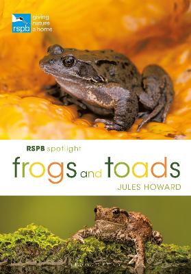 Book cover for RSPB Spotlight Frogs and Toads