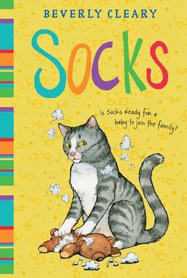 Book cover for Socks