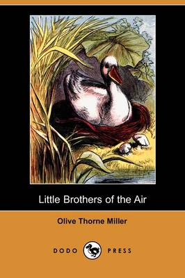 Book cover for Little Brothers of the Air (Dodo Press)