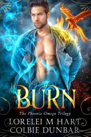 Cover of Burn