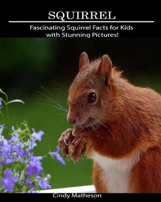 Book cover for Squirrel