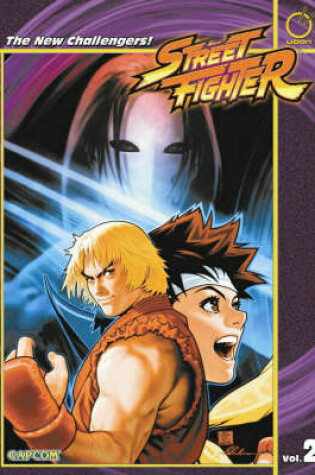 Cover of Street Fighter Volume 2