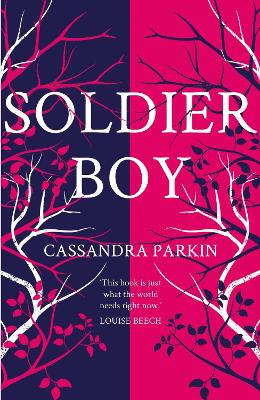 Book cover for Soldier Boy