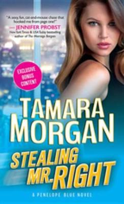 Book cover for Stealing Mr. Right