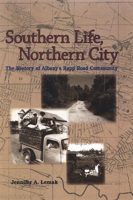 Book cover for Southern Life, Northern City