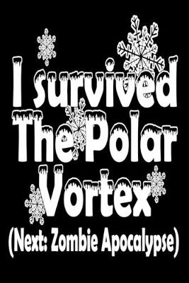 Book cover for I Survived The Polar Vortex