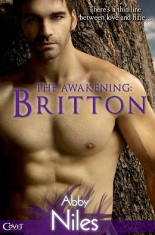 Cover of The Awakening: Britton