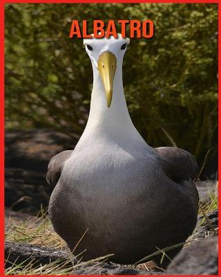 Book cover for Albatro