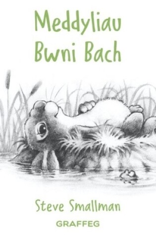 Cover of Meddyliau Bwni Bach