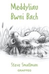 Book cover for Meddyliau Bwni Bach