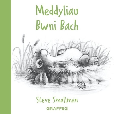Cover of Meddyliau Bwni Bach