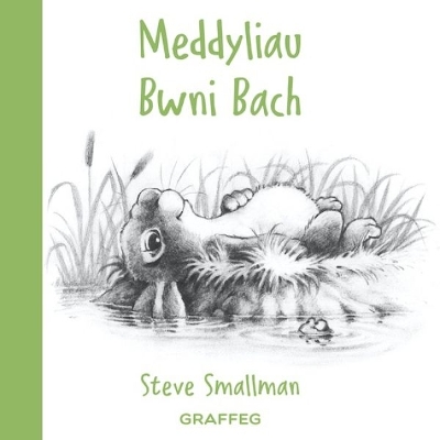 Book cover for Meddyliau Bwni Bach