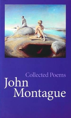 Book cover for Collected Poems John Montague