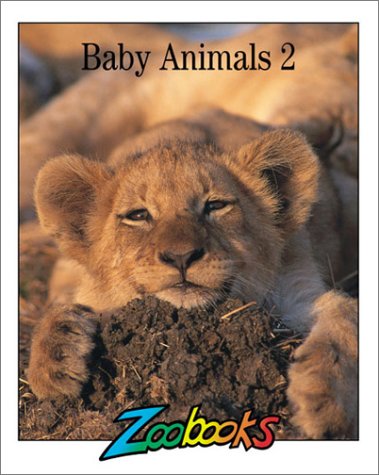 Book cover for Baby Animals II