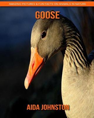 Book cover for Goose